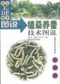 植桑养蚕技术图说