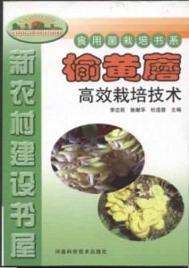 榆黄蘑高效栽培技术