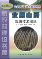 食用山药栽培技术图说