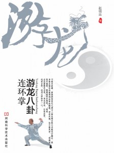 游龙八卦连环掌