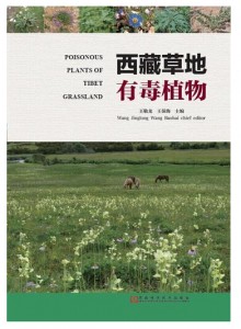 西藏草地有毒植物