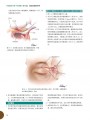 口腔颌面外科手术图解