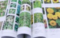 DK最新版世界园林植物与花卉百科全书