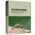 黄连山常见昆虫生态图鉴