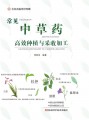 常见中草药高效种植与采收加工