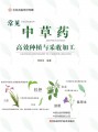 常见中草药高效种植与采收加工