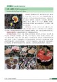 中国野菜野果的识别与利用·野菜卷