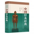 中国针灸辞典（第2版）