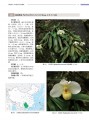 中国野生兰科植物原色图鉴（上、下卷）