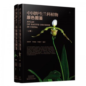中国野生兰科植物原色图鉴（上、下卷）