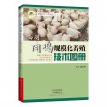 白羽肉鸡规模化养殖技术图册