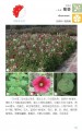 中国园林植物观花手册
