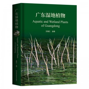 广东湿地植物