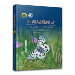 西藏蝴蝶图鉴