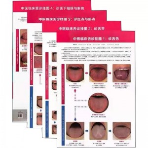 中医临床舌诊挂图