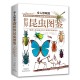 令人惊叹的世界昆虫图鉴